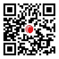 1744872261210650.png